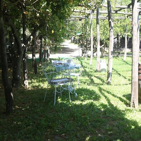 Emy'S Country House Apartment Castellammare di Stabia Exterior photo