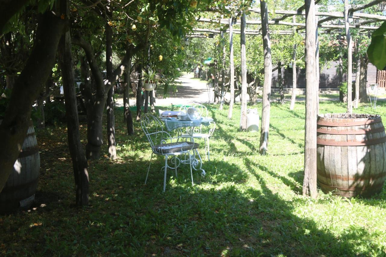 Emy'S Country House Apartment Castellammare di Stabia Exterior photo