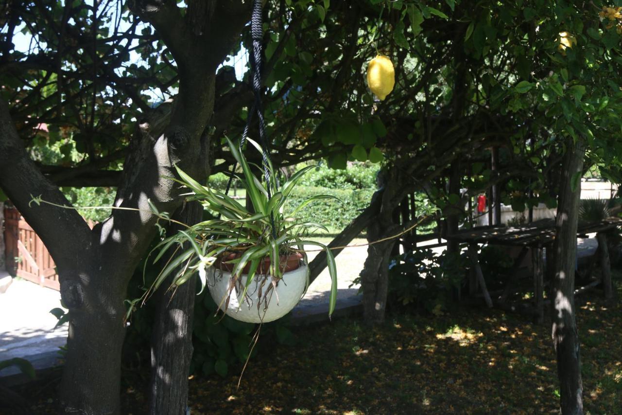 Emy'S Country House Apartment Castellammare di Stabia Exterior photo